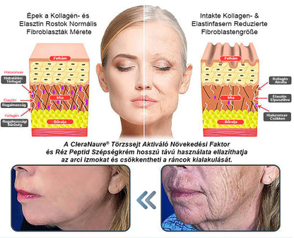 🥇CleraNaure® Őssejt Kivonatú EGF és Rézpeptid Revitalizáló Esszencia Krém (mélyen aktiválja a bőr belső regenerációját, feszesebbé és simábbá varázsolja a bőrt)-🌿