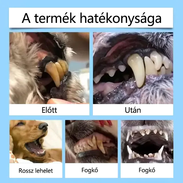 💎[Hivatalos áruház] CleraNaure® Pet Dental & Digestive Health Oral Liquid – Frissíti a leheletet, eltávolítja a fogkövet, elősegíti az íny regenerálódását és stabilizálja a fogakat (macskák és kutyák számára) – Ma 80% kedvezménnyel!