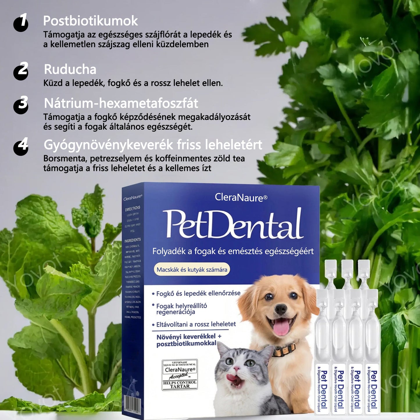 💎[Hivatalos áruház] CleraNaure® Pet Dental & Digestive Health Oral Liquid – Frissíti a leheletet, eltávolítja a fogkövet, elősegíti az íny regenerálódását és stabilizálja a fogakat (macskák és kutyák számára) – Ma 80% kedvezménnyel!