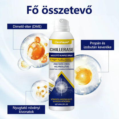 🛡️CleraNaure® ChillErase dudorjavító spray