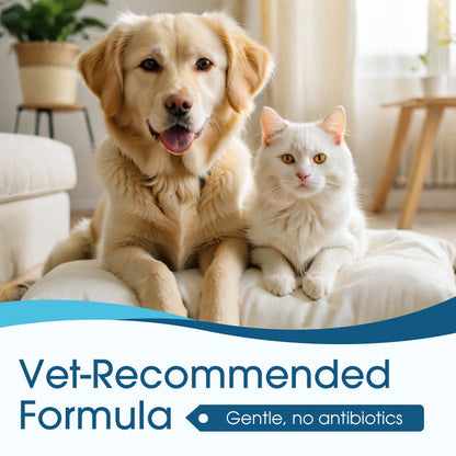 🐶🐱CleraNaure® –Fültisztító, amely enyhíti a kutyák és macskák viszketését
