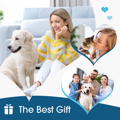 🐶🐱CleraNaure® –Fültisztító, amely enyhíti a kutyák és macskák viszketését